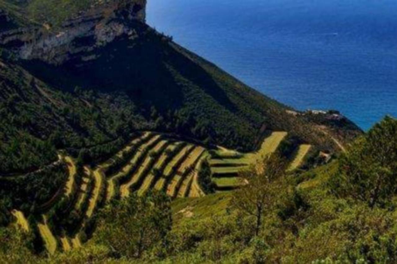 L'Odyssee Bleue Vue Mer Cassis Dış mekan fotoğraf